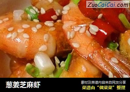 葱姜芝麻虾