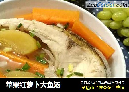 苹果红萝卜大鱼汤