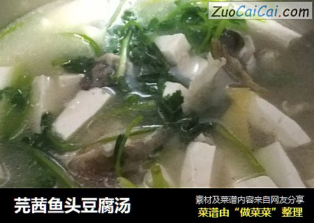 芫茜魚頭豆腐湯封面圖