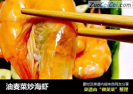 油麥菜炒海蝦封面圖