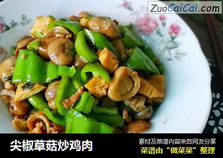 尖椒草菇炒鸡肉