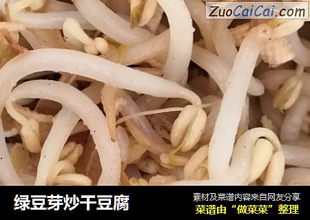 綠豆芽炒幹豆腐封面圖