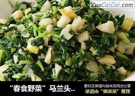 “春食野菜”馬蘭頭拌竹筍封面圖