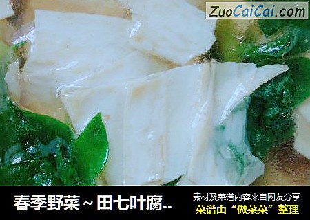 春季野菜～田七叶腐竹汤