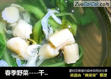 春季野菜----干贝茼蒿汤