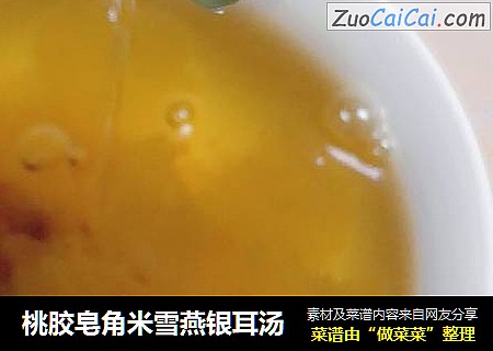 桃膠皂角米雪燕銀耳湯封面圖