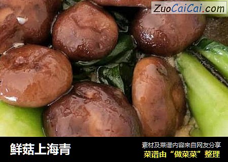 鮮菇上海青封面圖