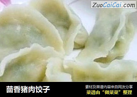 茴香猪肉饺子