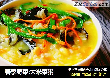 春季野菜:大米菜粥封面圖