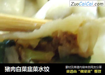 猪肉白菜韭菜水饺