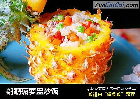 鹦鹉菠蘿盅炒飯封面圖