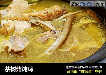 茶樹菇炖雞封面圖