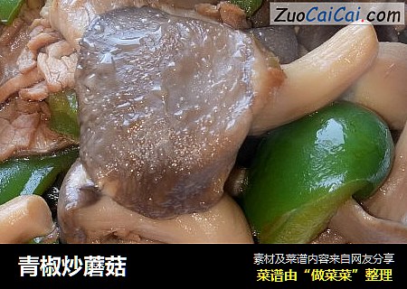 青椒炒蘑菇封面圖