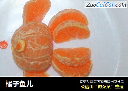 橘子鱼儿