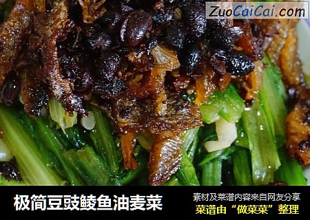 极简豆豉鲮鱼油麦菜