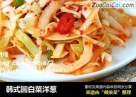 韩式圆白菜洋葱