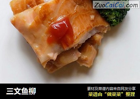 三文魚柳封面圖