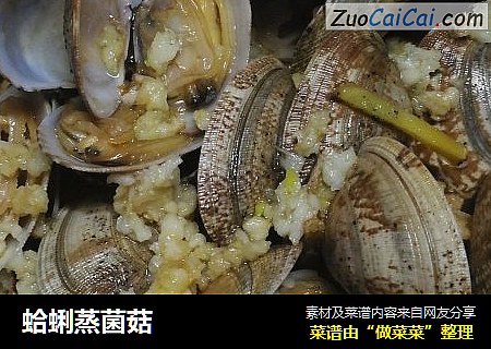 蛤蜊蒸菌菇封面圖