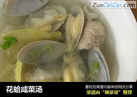 花蛤鹹菜湯封面圖