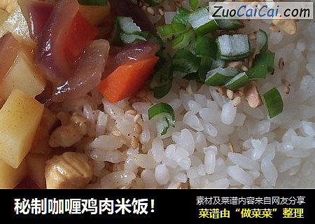 秘制咖喱鸡肉米饭！