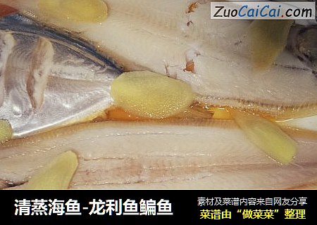 清蒸海鱼-龙利鱼鳊鱼
