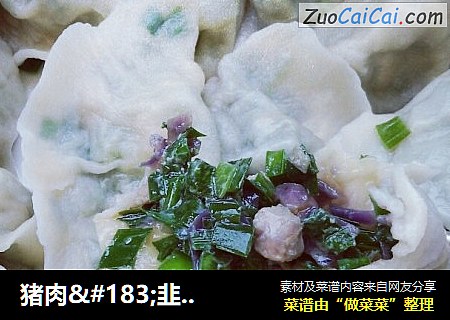 猪肉·韭菜·紫甘蓝饺子