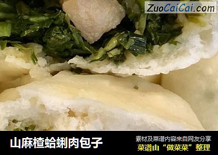 山麻楂蛤蜊肉包子封面圖
