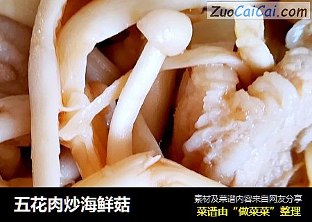 五花肉炒海鮮菇封面圖