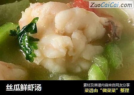 絲瓜鮮蝦湯封面圖