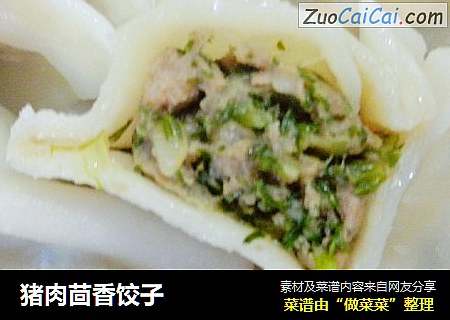 猪肉茴香饺子