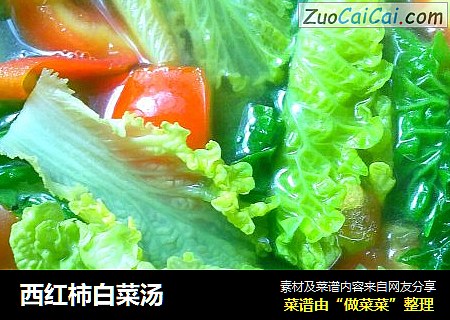 西紅柿白菜湯封面圖