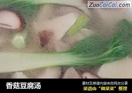 香菇豆腐湯封面圖