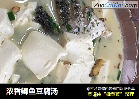浓香鲫鱼豆腐汤