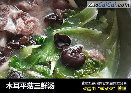 木耳平菇三鲜汤