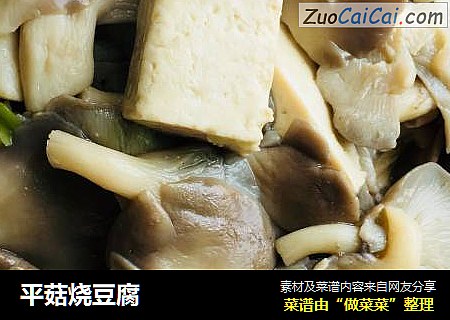 平菇燒豆腐封面圖