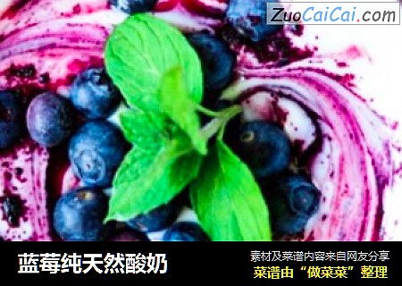 藍莓純天然酸奶封面圖