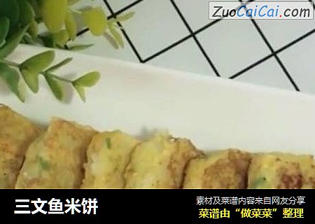 三文鱼米饼