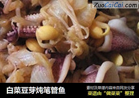 白菜豆芽炖筆管魚封面圖