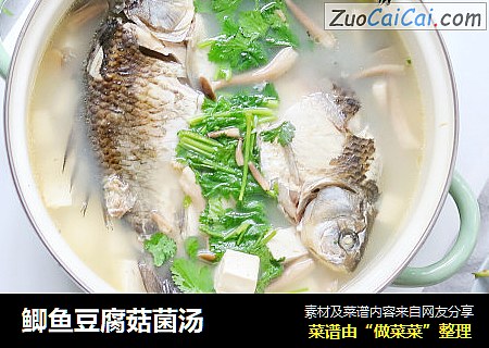 鲫鱼豆腐菇菌汤
