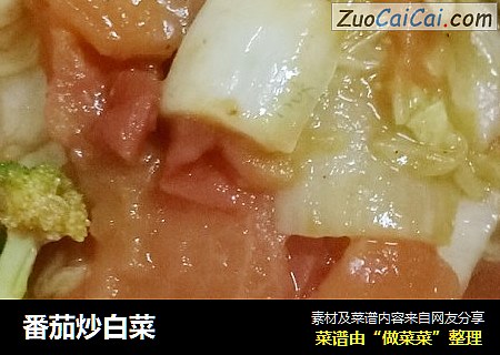 番茄炒白菜封面圖