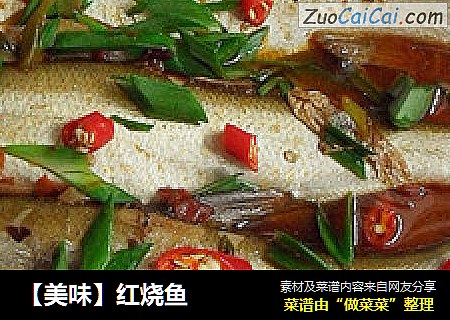 【美味】紅燒魚封面圖