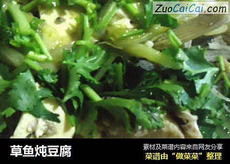 草魚炖豆腐封面圖