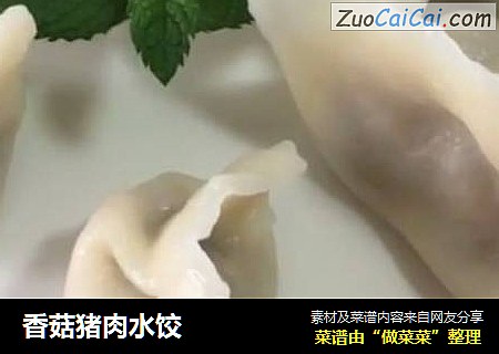 香菇豬肉水餃封面圖