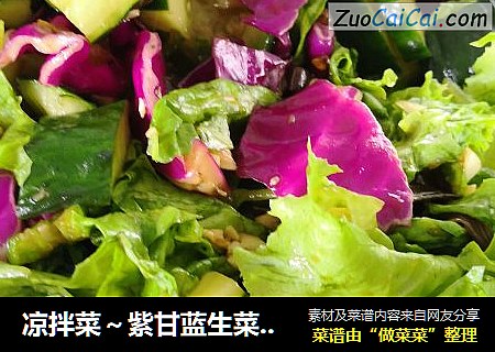 涼拌菜～紫甘藍生菜黃瓜辣椒封面圖