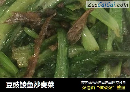 豆豉鲮魚炒麥菜封面圖