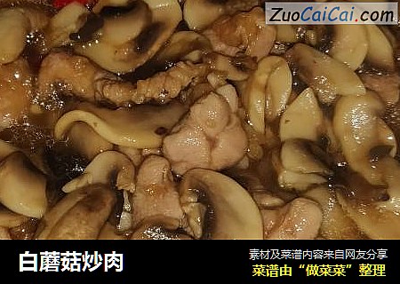 白蘑菇炒肉封面圖
