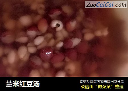 薏米紅豆湯封面圖