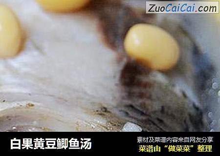 白果黃豆鲫魚湯封面圖