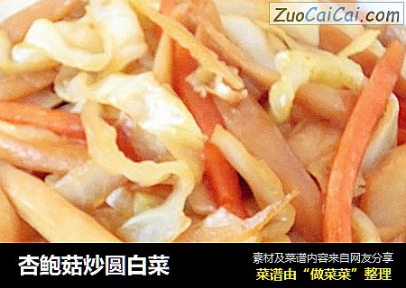 杏鲍菇炒圆白菜