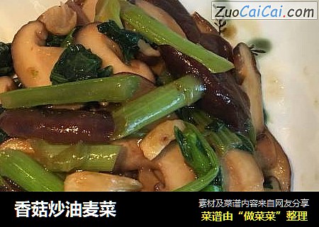 香菇炒油麦菜